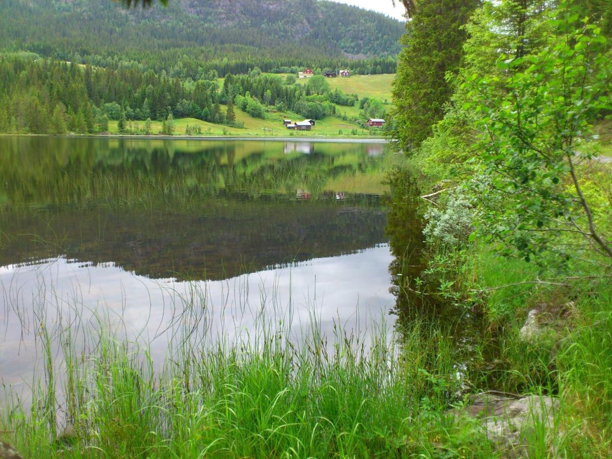 Leilighet I Amotsdal 外观 照片