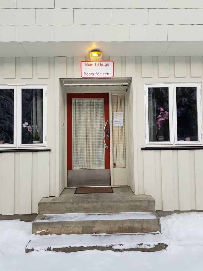 Leilighet I Amotsdal 外观 照片