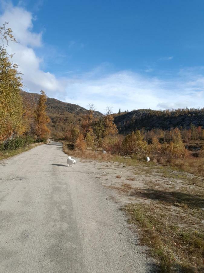 Leilighet I Amotsdal 外观 照片